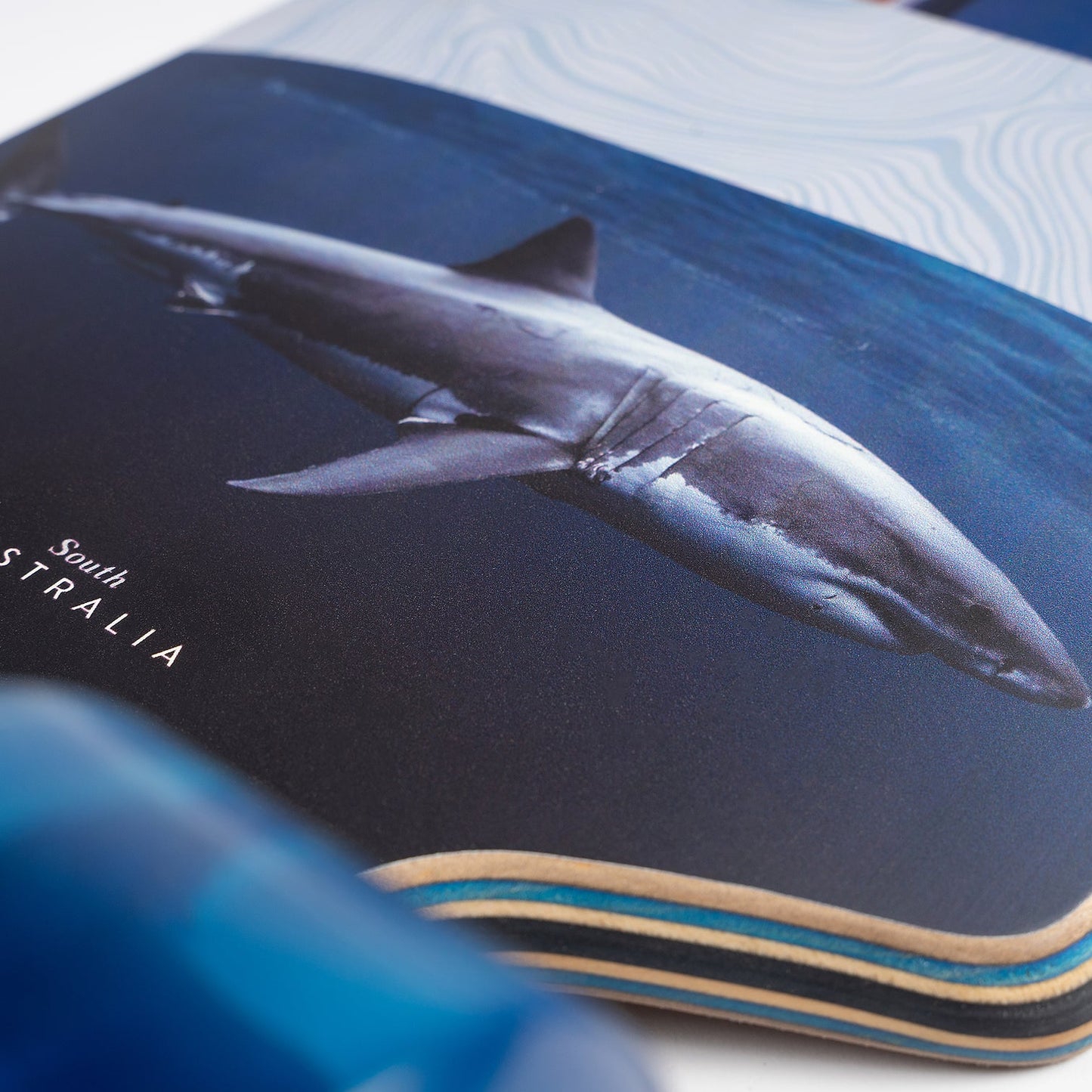 Sector 9 Meridian Rips Drop Through Longboard Complete