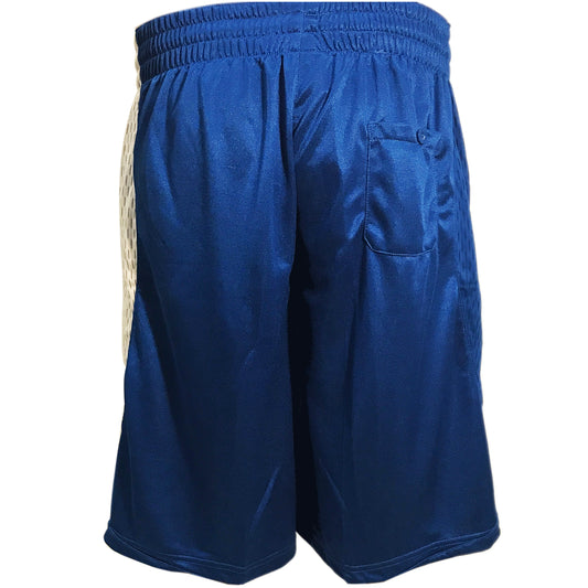 Peak Men's Match Basketball Shorts Blue