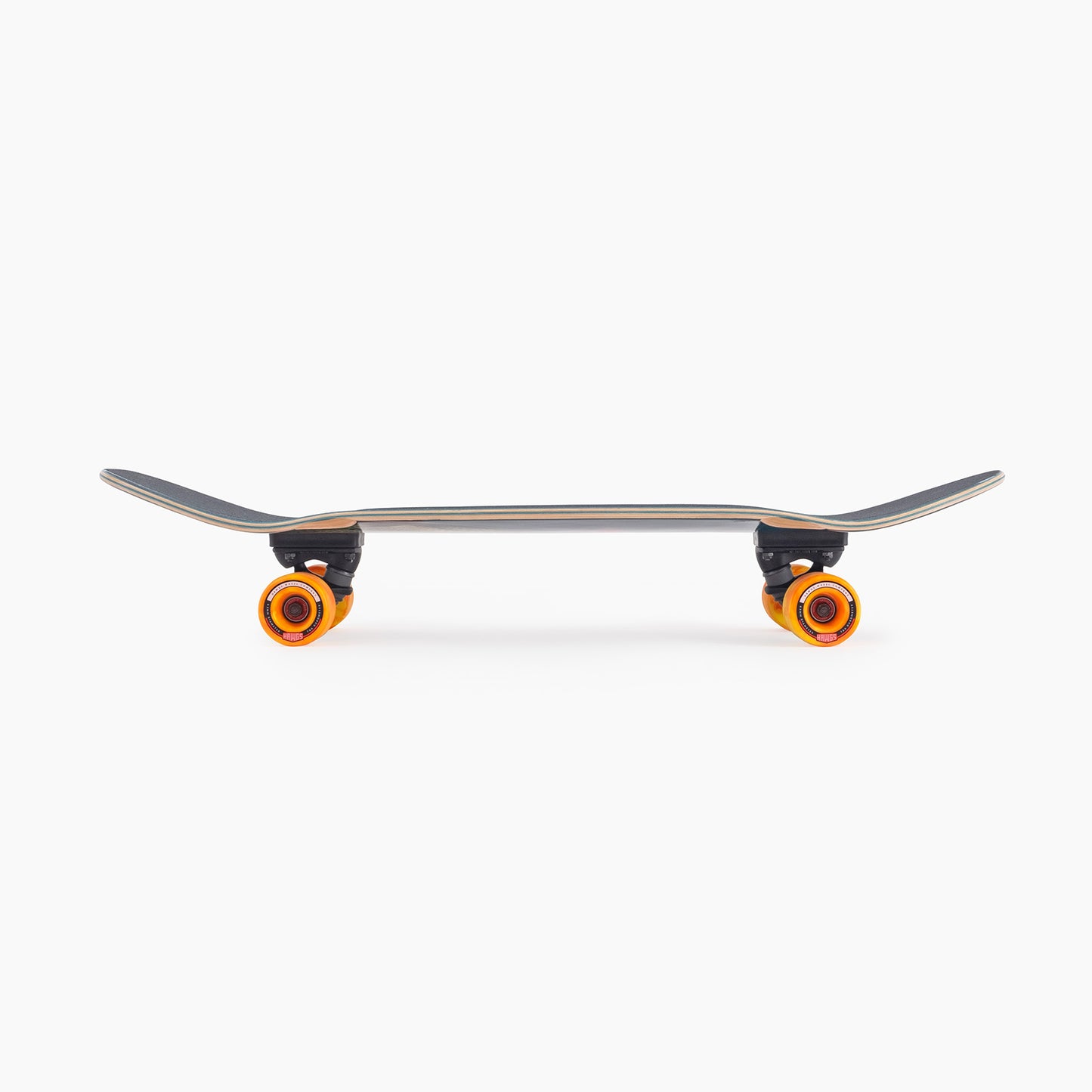 Landyachtz Raft Trout Cruiser Longboard Complete