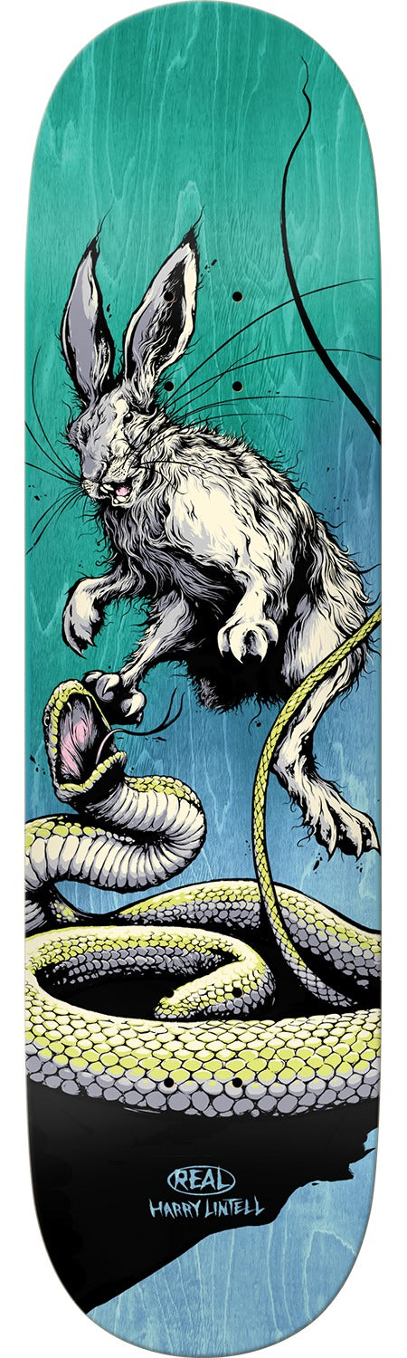 Real Harry Lintell Prey 8.4in x 32.0in Skateboard Deck