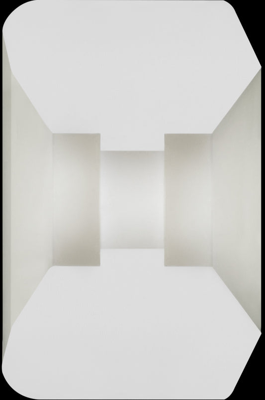 Powell Peralta 64mm x 36mm 93a Dragon Formula G-Bones Skateboard Wheels, White