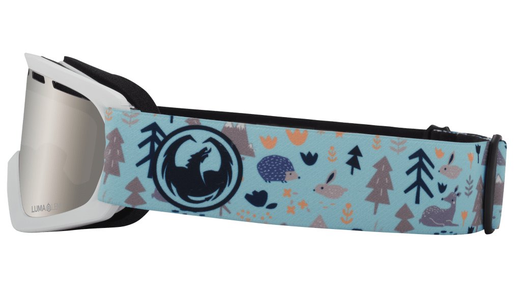 Dragon Alliance Little Lil D Kids Child Youth Ski Snowboard Goggles Forest Friends Blue Silver Ion Mirror Lens Band