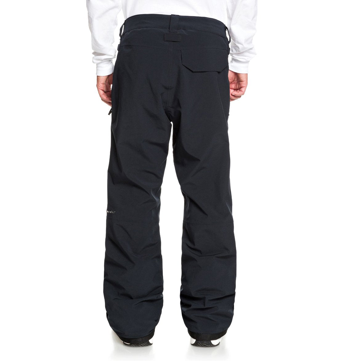 DC Shoes Squadron Snow Pant Black Full Back View