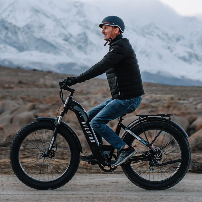 Aventon Aventure.2 Step-Through Fat Tire Electric Bike