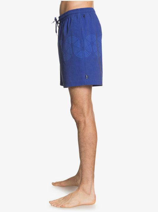 Quiksilver Men's Tokolo 17inch Volley Board Shorts for Men Blue