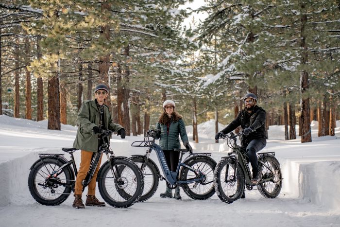 Aventon Aventure.2 Step-Through Fat Tire Electric Bike