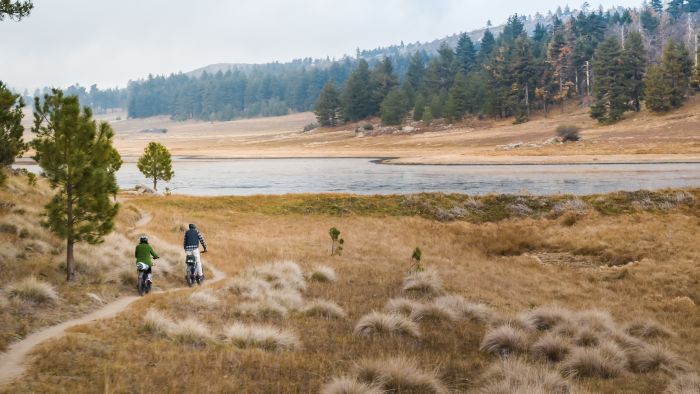 Aventon Aventure.2 Step-Through Fat Tire Electric Bike