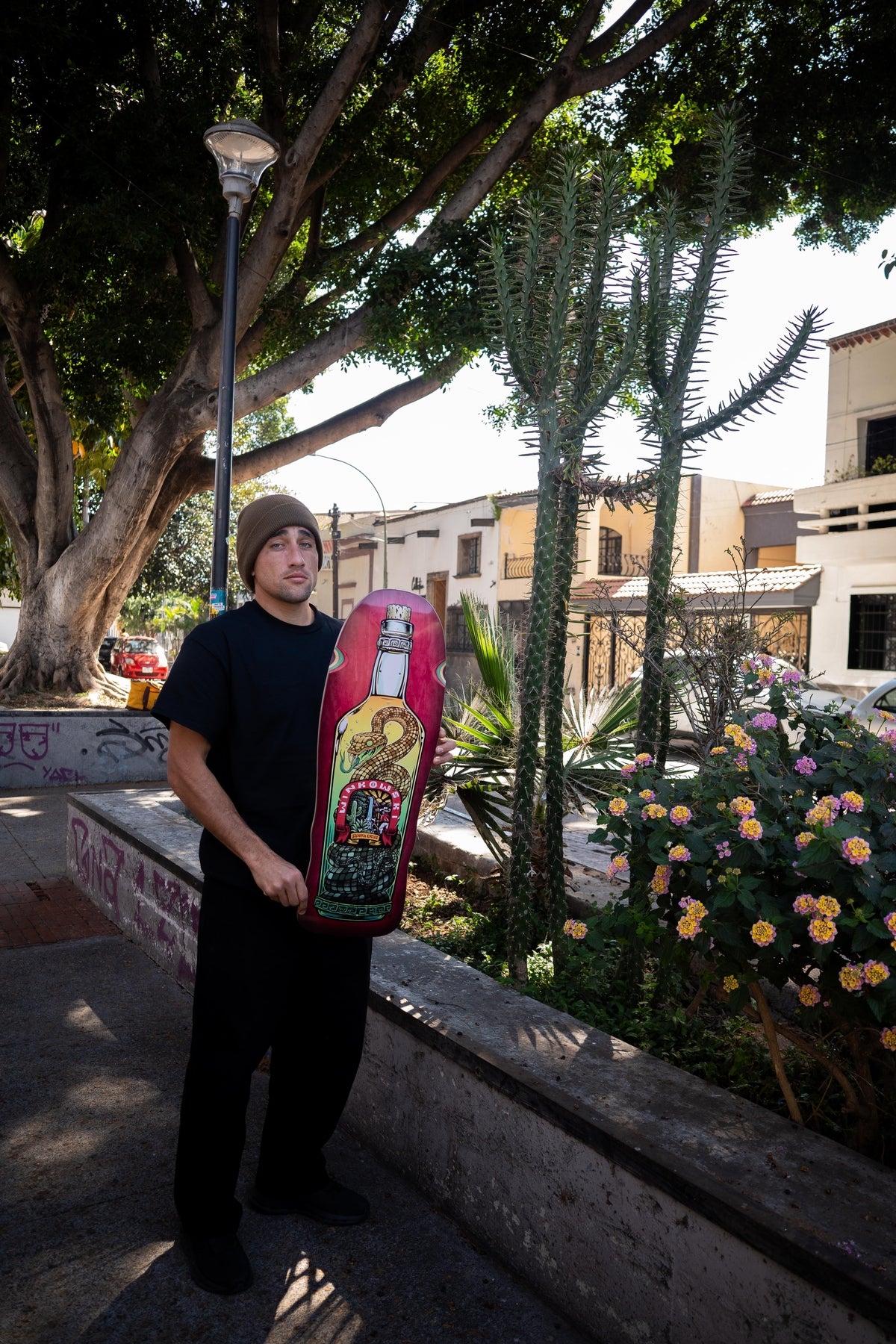 Santa Cruz Winkowski Agave Snake Pro Shaped 10.35in x 30.54in Skateboard Deck