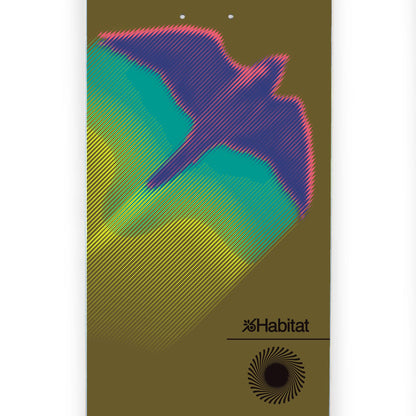 Habitat Brian Delatorre Speed Test 8.0in x 31.75in Skateboard Deck