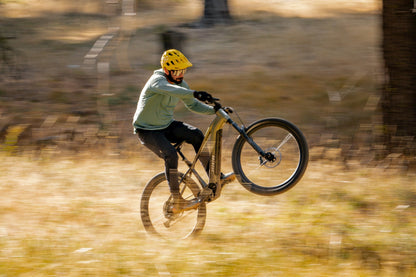 Aventon Ramblas Borealis Hardtail 250W mid drive eMTB