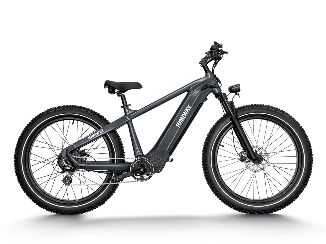 Himiway Zebra All-Terrain Long Range E-Bike