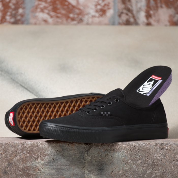 Vans Unisex Skate Authentic Low Top Skateboarding Shoes Black