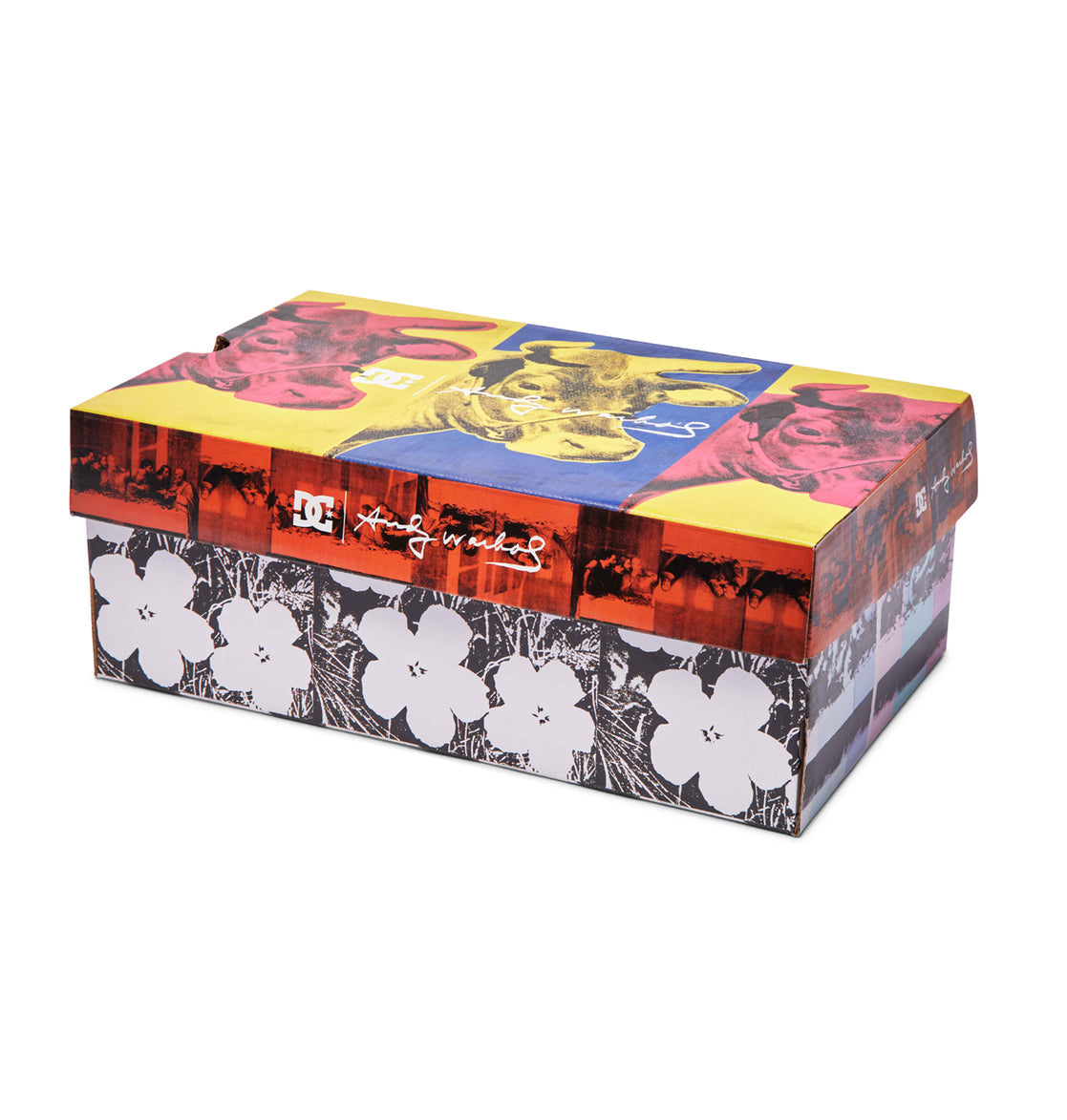 DC X Andy Warhol Manual Shoe Black Cream Box